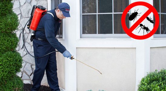 Mavişehir Akrep İlaçlama böcek ilaçlama ve haşere kontrolü — ilaclama-tr.com